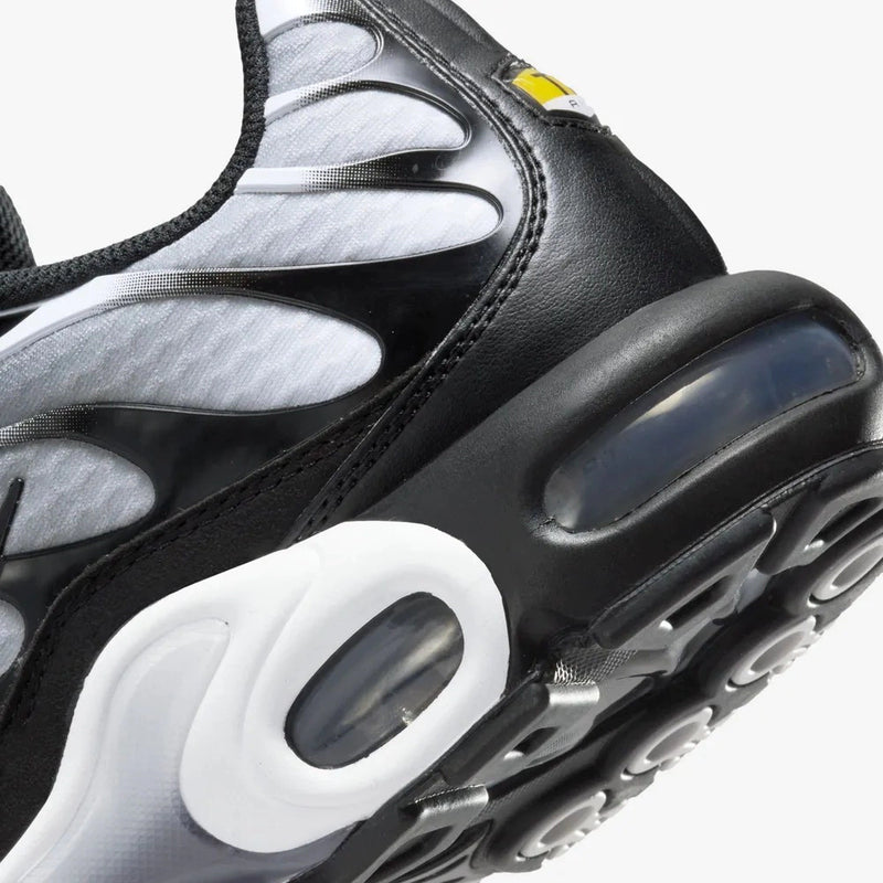 Nike air max plus TN ''Black Mettalic''