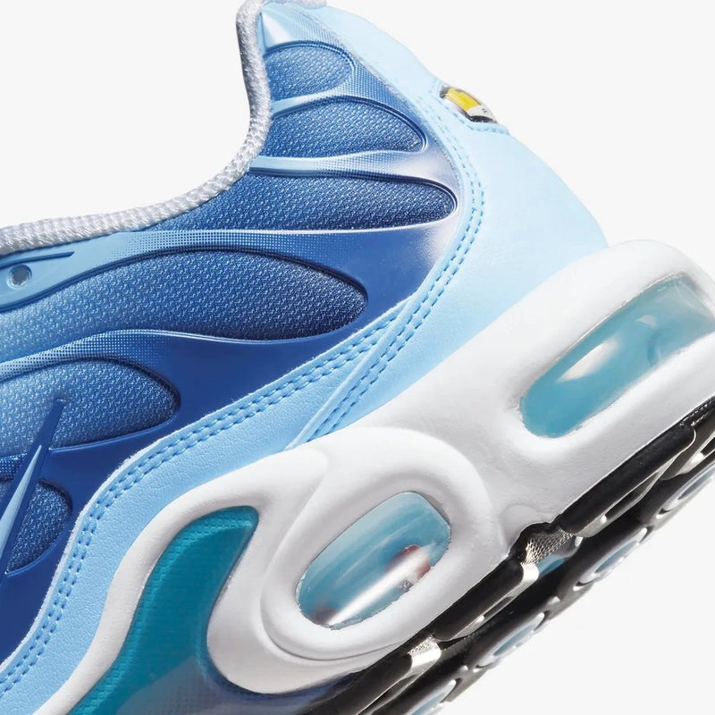 Nike Air max plus TN ''Celestine blue''
