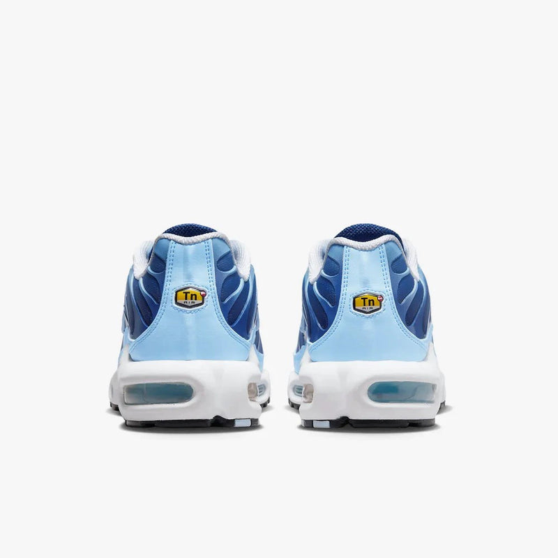 Nike Air max plus TN ''Celestine blue''
