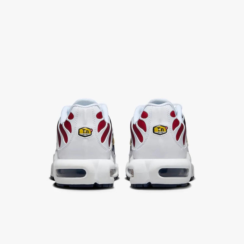 Nike air max plus TN ''PSG''
