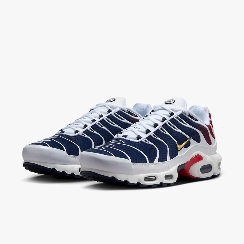 Nike air max plus TN ''PSG''