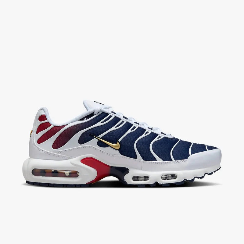 Nike air max plus TN ''PSG''