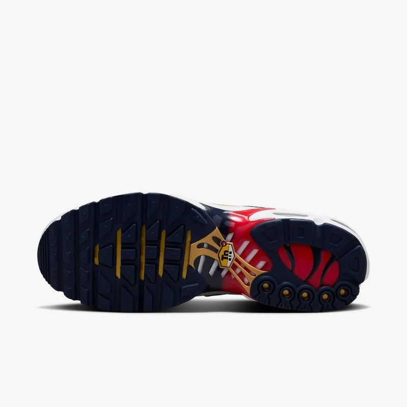 Nike air max plus TN ''PSG''