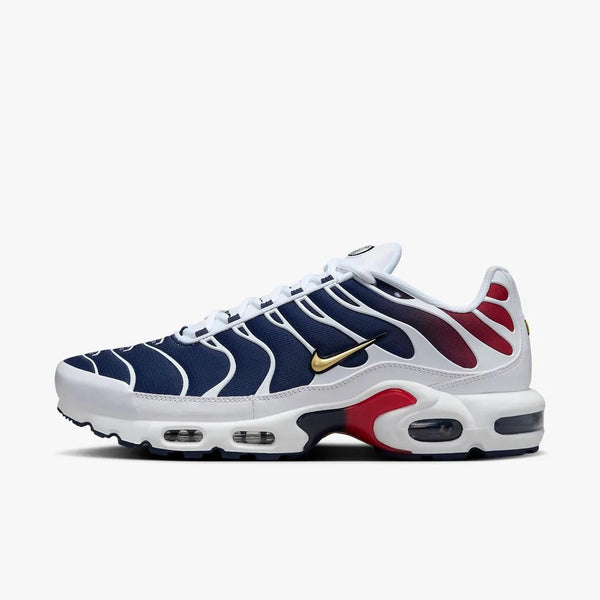 Nike air max plus TN ''PSG''