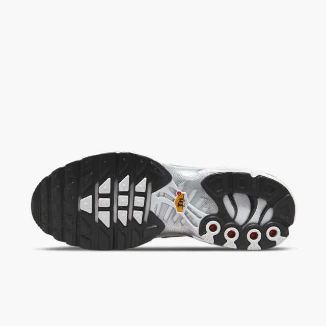 Nike Air max plus TN ''Silver swoosh''