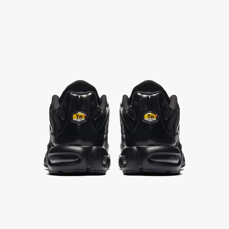 Nike Air max plus TN ''Triple black''